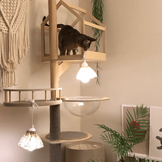 nyanparfait　Sorbét　吊り下げランプ