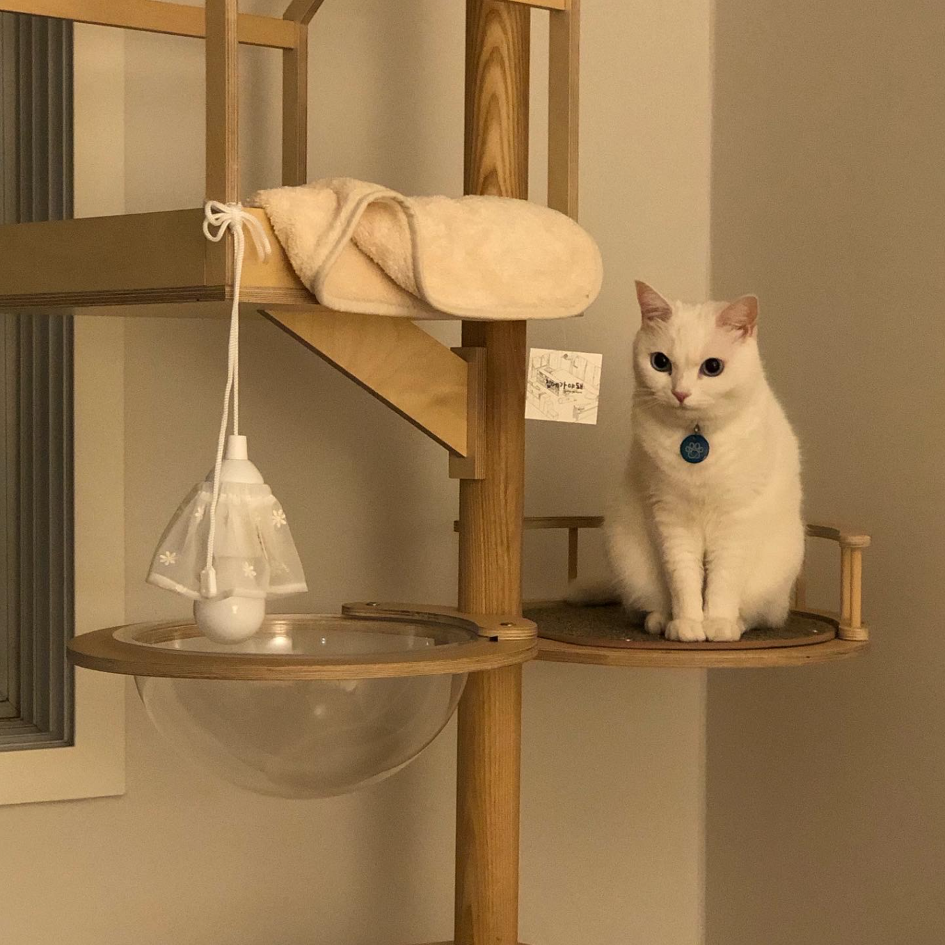 nyanparfait Sorbét　吊り下げランプ