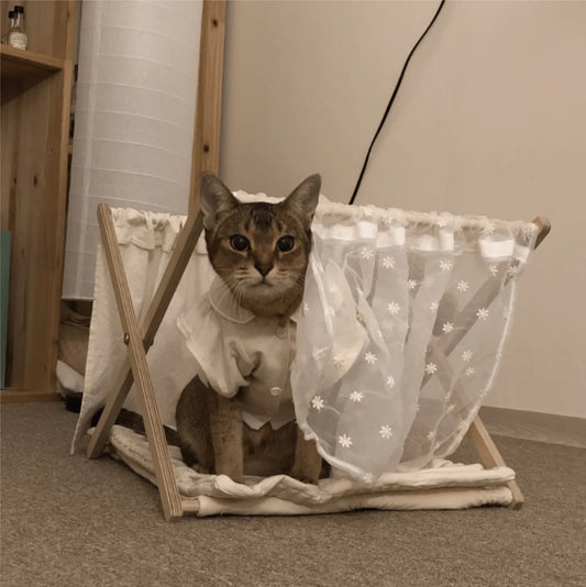 nyanparfait Sorbét ポイントカーテン - lace