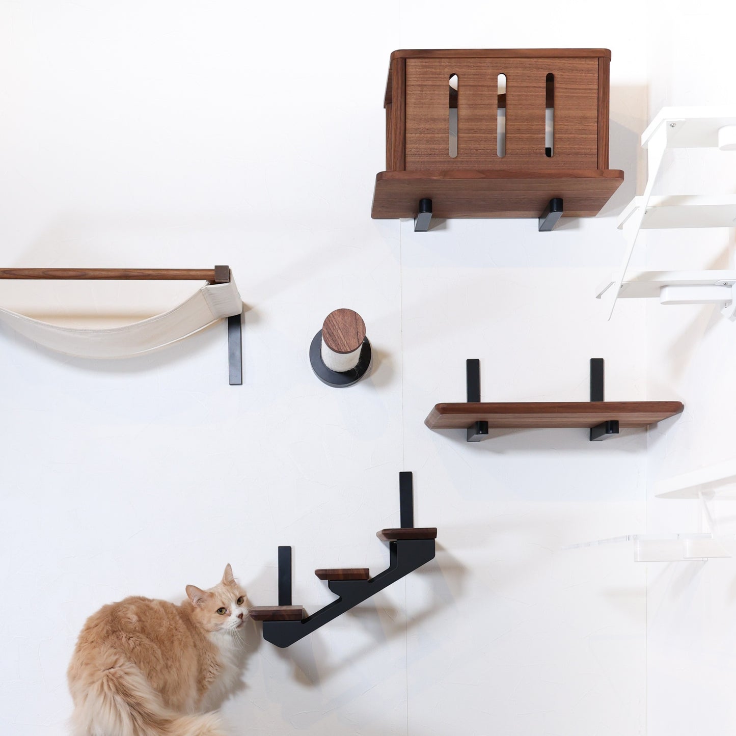 moku to.  キャットトンネル