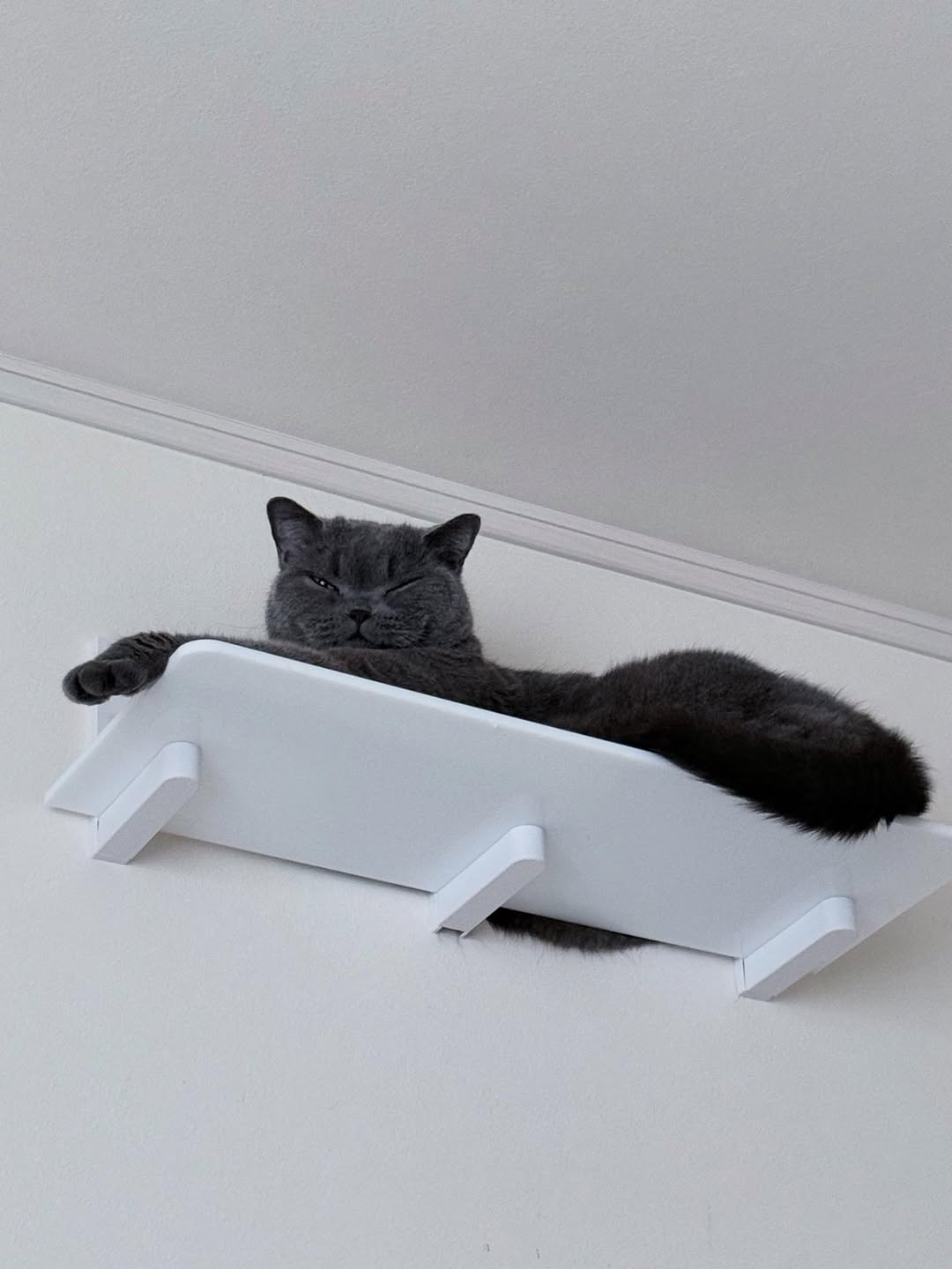 ロングステップ 600mm | キャットステップ、キャットウォーク | 日本製