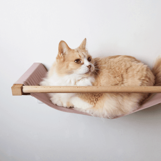 猫用ハンモック | 日本製猫用品、グッズの専門通販はanimacolle