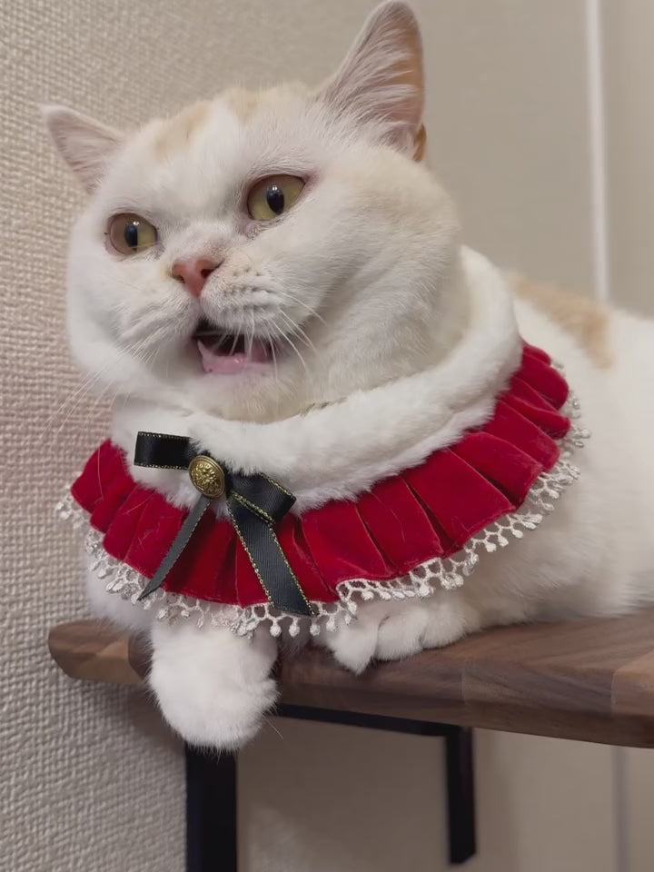 moku to.ウッドステップ (ウォールナット/ホワイトオーク） | 日本製猫