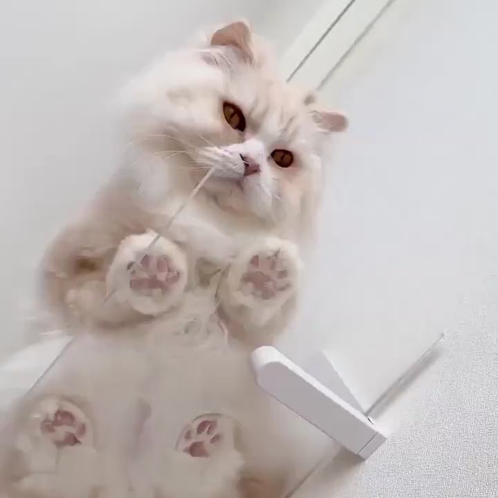 猫騙/Megalomania 帯付き Amazon.co.jp: Megalomania - 猫騙: ミュージック