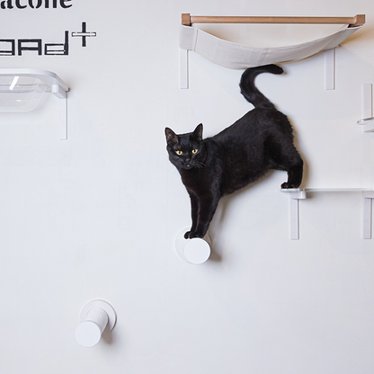 CATROAD+ キャットスティック