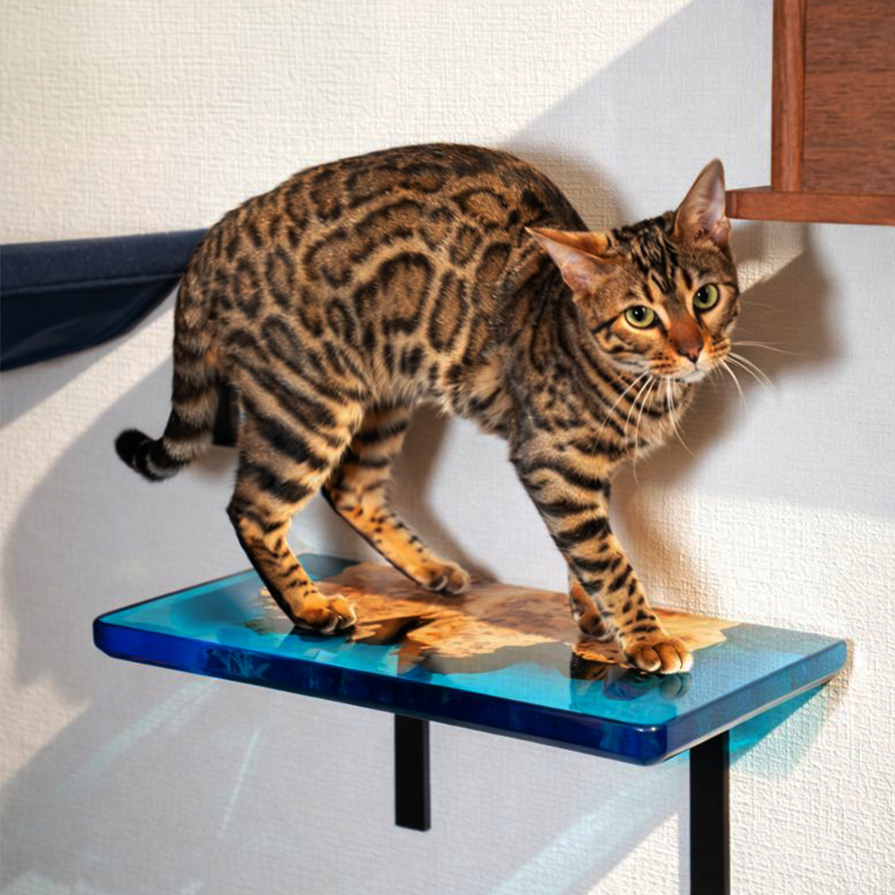 moku to.  Poplar Step（ポプラステップ）