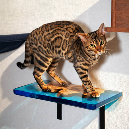 moku to.  Poplar Step（ポプラステップ）