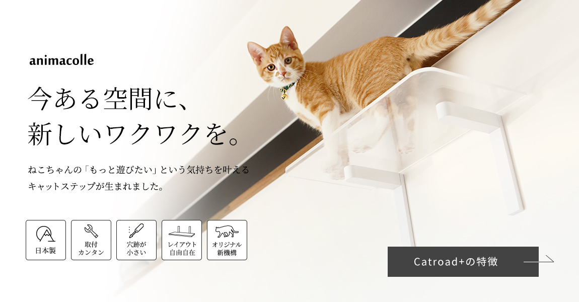 アニマコレ キャットロードプラス ３点セット＋コーナーステップ猫用品