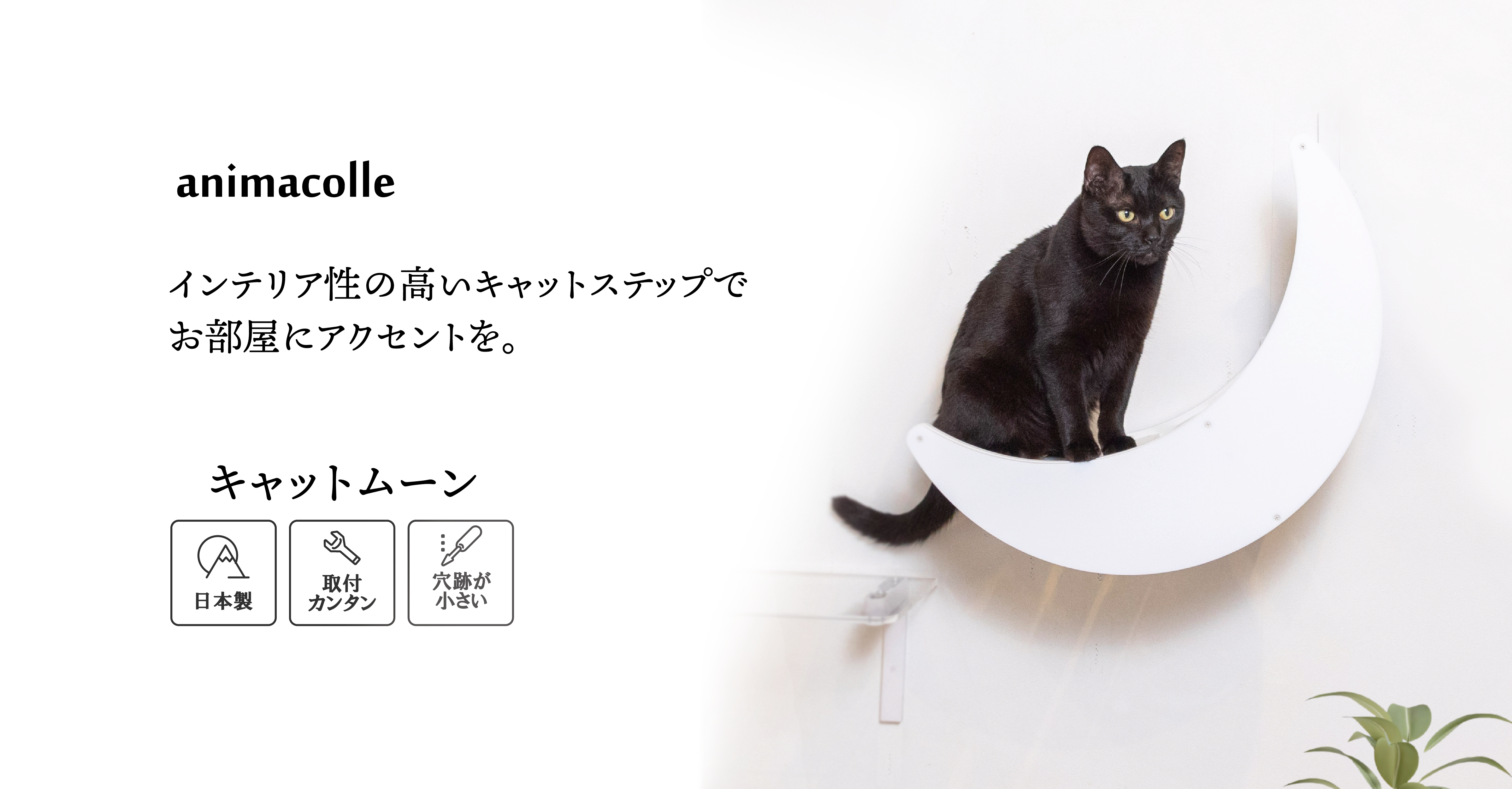 アニマコレ キャットロードプラス ３点セット＋コーナーステップ猫用品